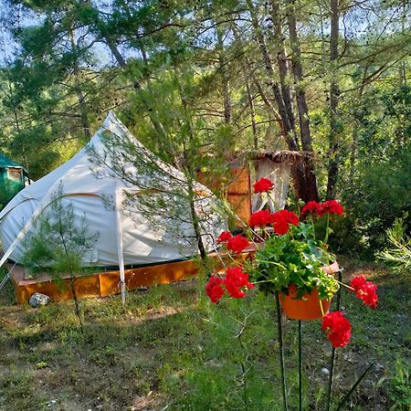 Hotel Vinsan Glamping & Wellness Centre Eleousa Esterno foto