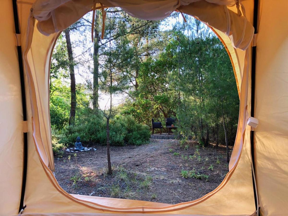 Hotel Vinsan Glamping & Wellness Centre Eleousa Esterno foto